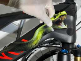 Fotorealistische Fahrradfolie: Motiv 