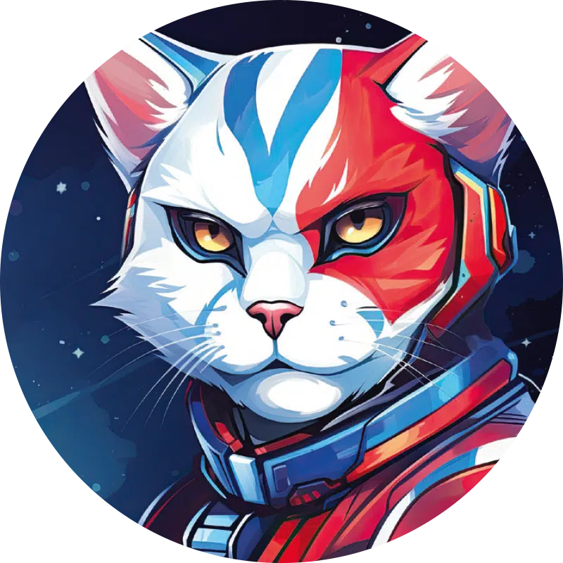 Reflective Stickers | Space Edition |  Cat